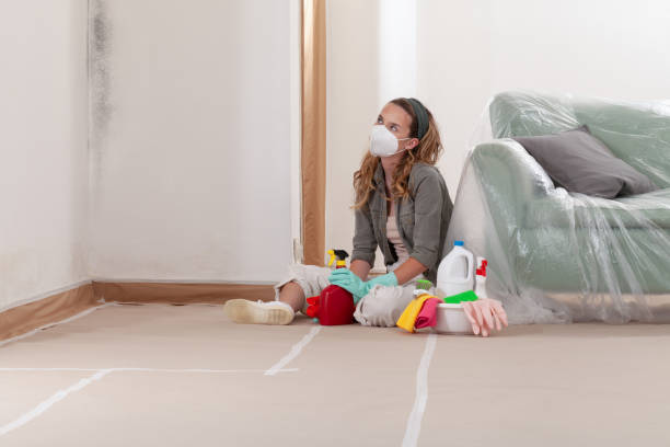 Reliable Mold Remediation contractor in Illinois, IL by Mold Remediation HQ